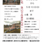 鯉のぼりが女川の空を泳ぐ！