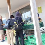 涌谷産直市が開催されました♪