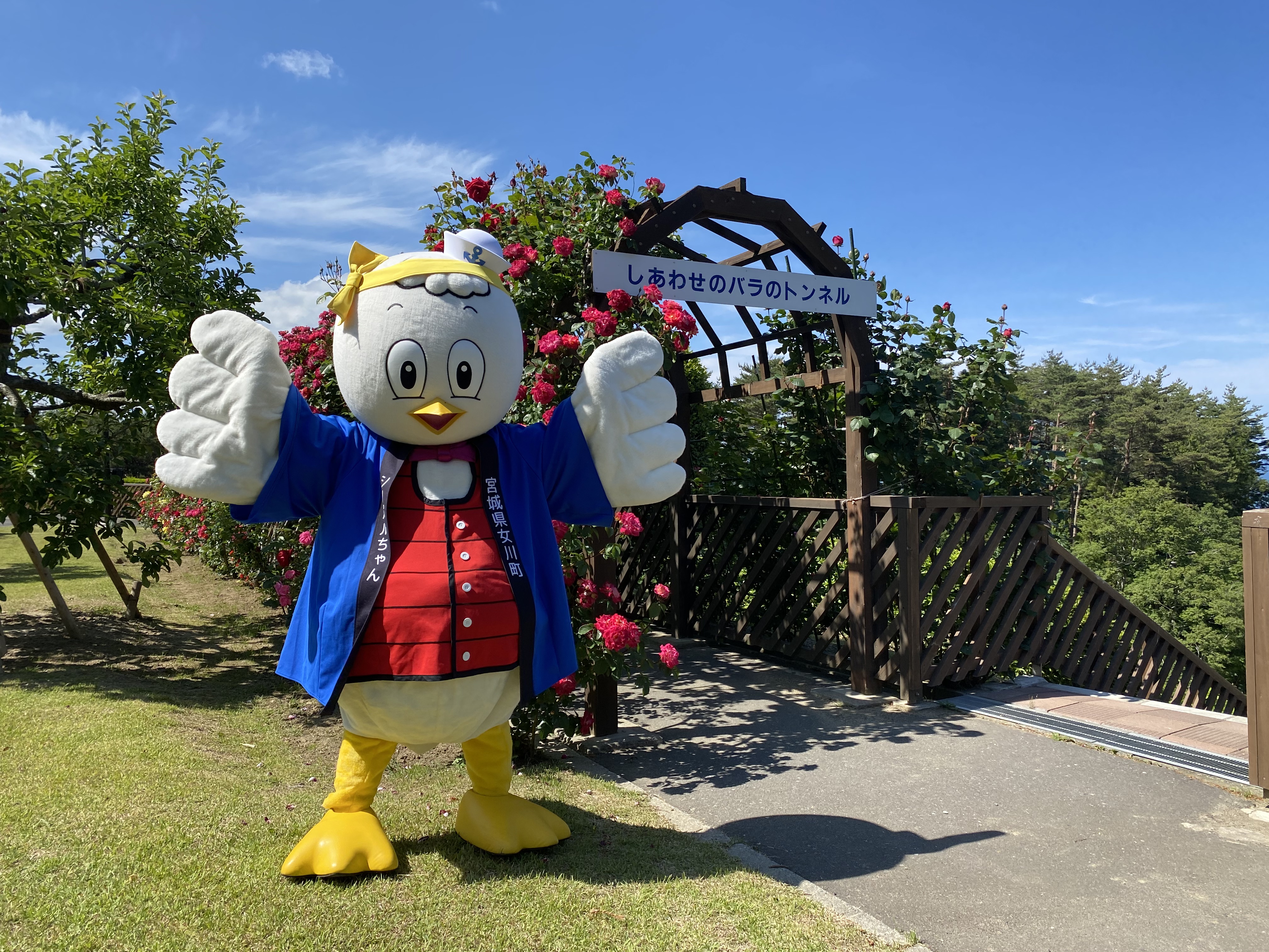 ブログ おながわたび 女川町観光協会