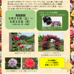 【お知らせ】ローズガーデンフェア2025開催！